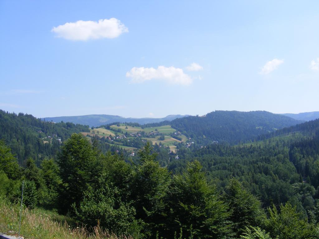 Rezydencja Prezydenta Rp Zamek W Wisle Weichsel Exterior foto